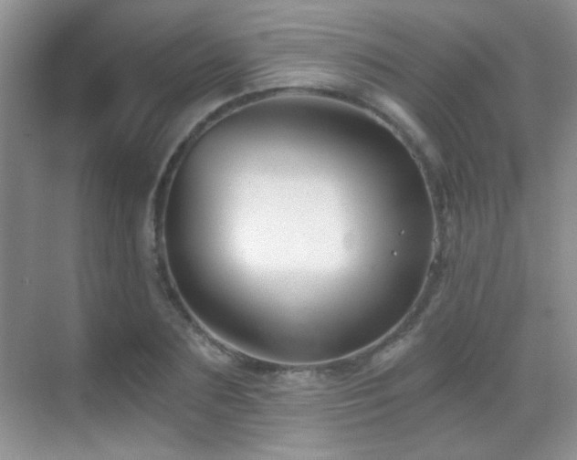 X0000069830883200605191137