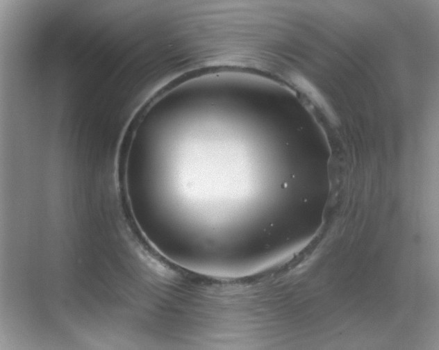 X0000069830884200605191137