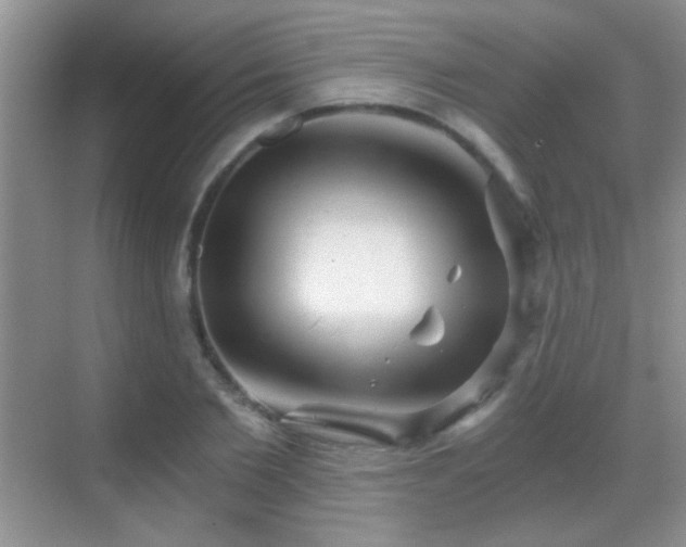 X0000069830885200605191137