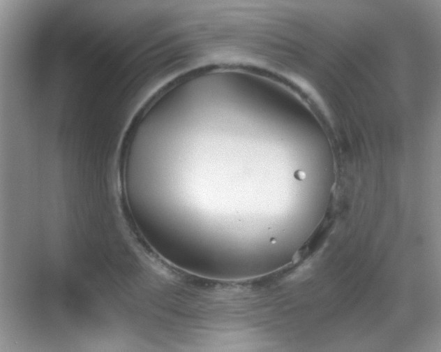 X0000069830887200605191137