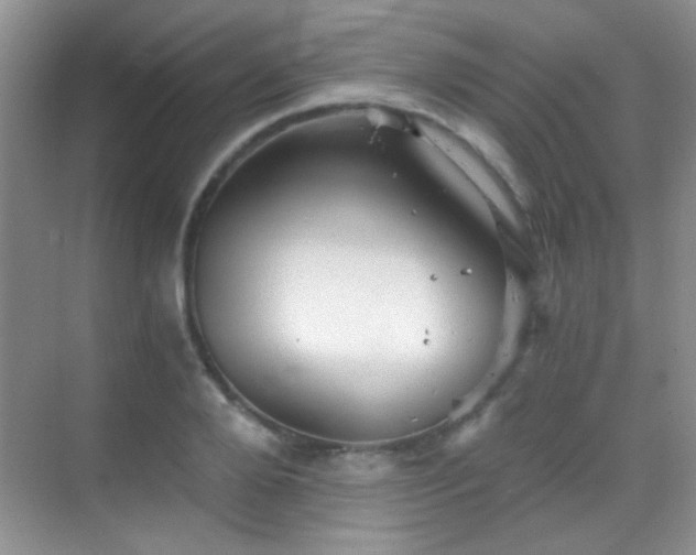 X0000069830888200605191137