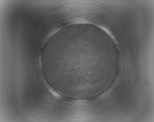 X0000069830889200605191137