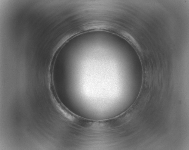 X0000069830890200605191137