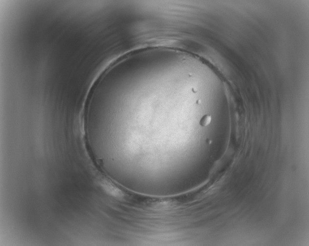 X0000069830891200605191137