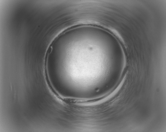 X0000069830895200605191137