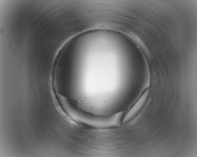 X0000069830896200605191137