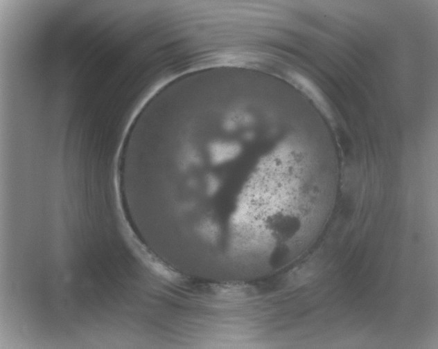 X0000069830899200605191137