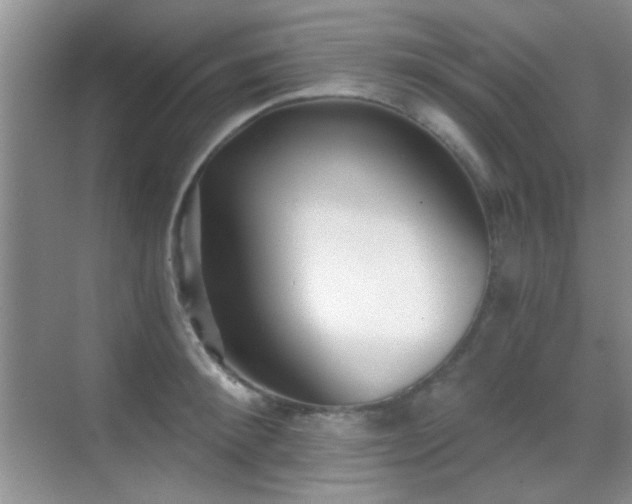 X0000069830900200605191137