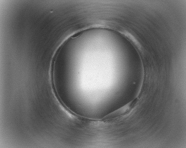 X0000069830902200605191136