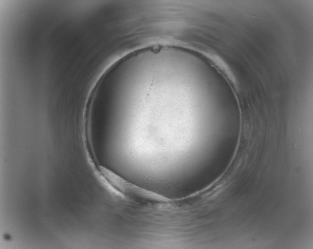 X0000069830903200605191136