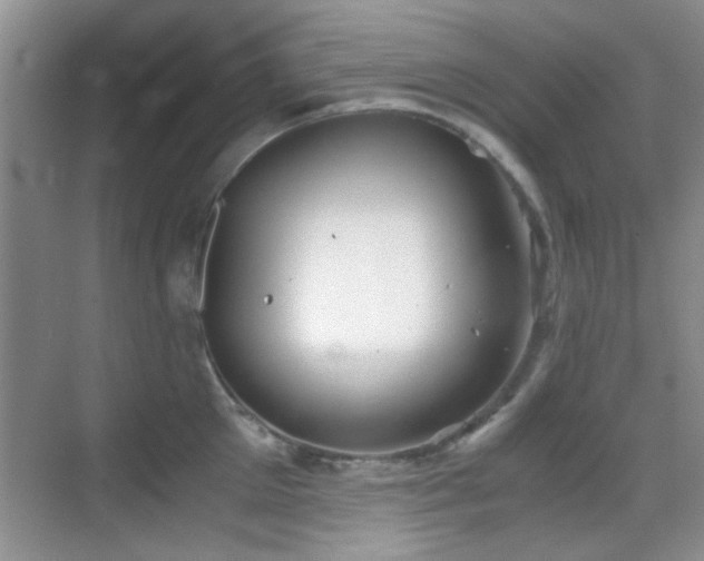 X0000069830905200605191136