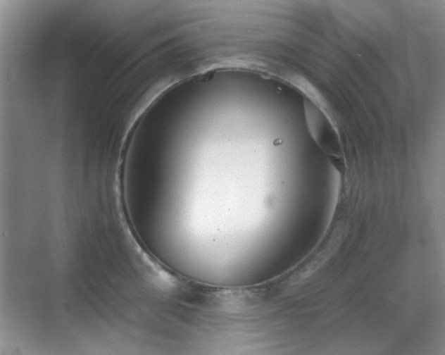 X0000069830906200605191136