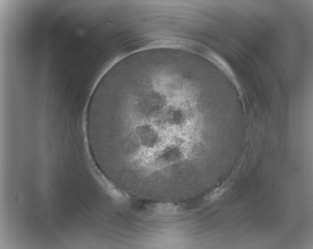 X0000069830907200605191136