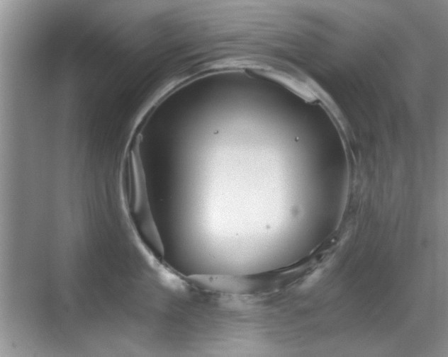 X0000069830909200605191136