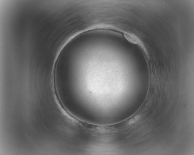 X0000069830911200605191136