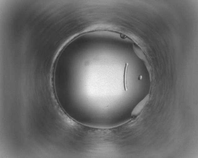 X0000069830912200605191136