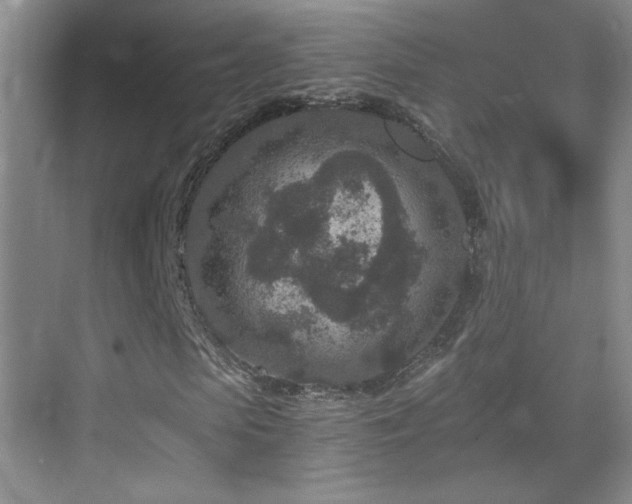 X0000069830913200605191135