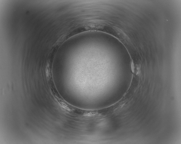 X0000069830915200605191136