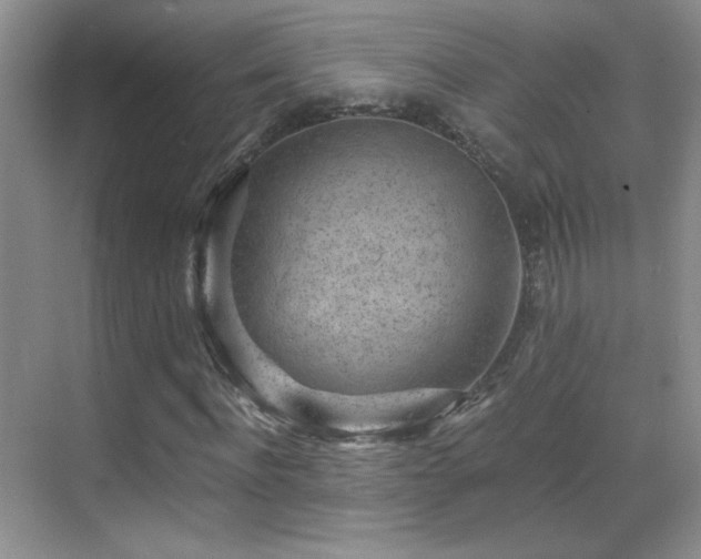 X0000069830916200605191136