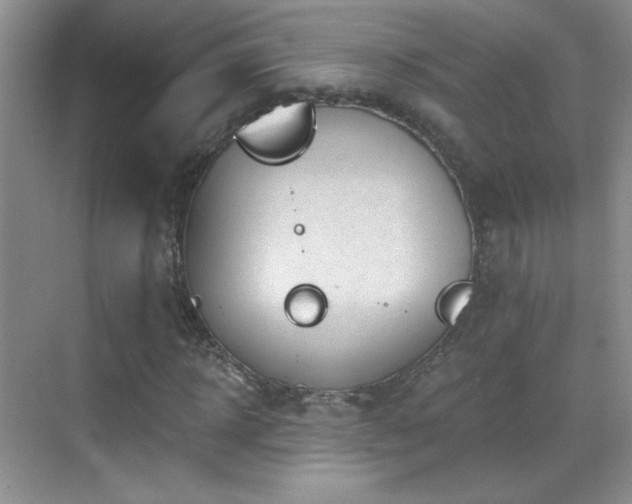 X0000069830918200605191136