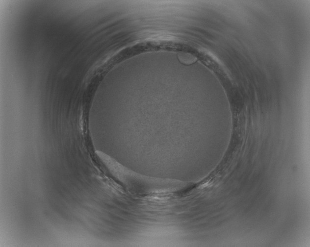 X0000069830919200605191136