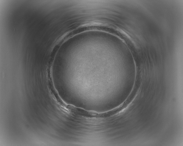 X0000069830921200605191136