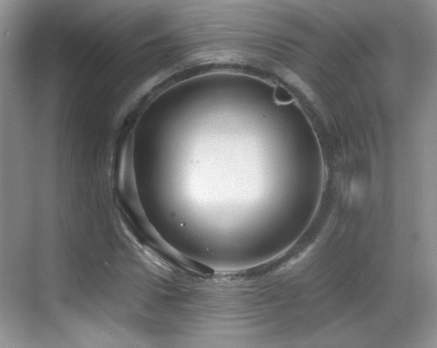 X0000069830922200605191136