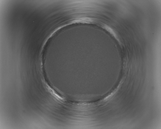 X0000069830923200605191136