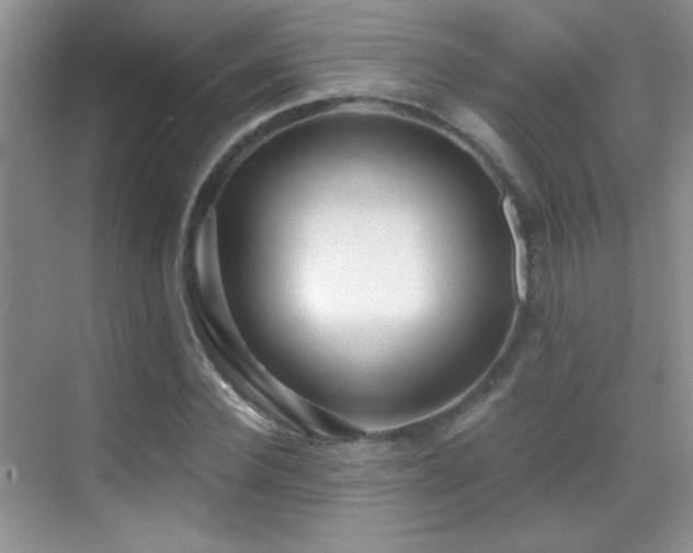 X0000069830924200605191136