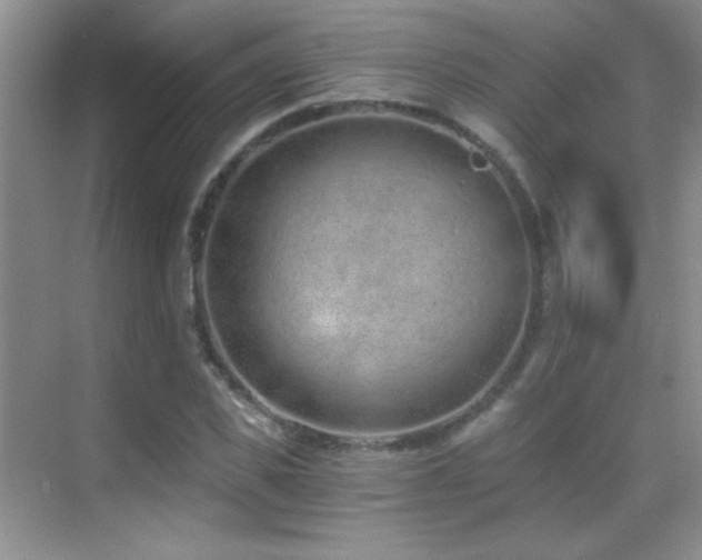 X0000069830925200605191136