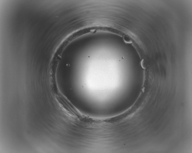 X0000069830926200605191136