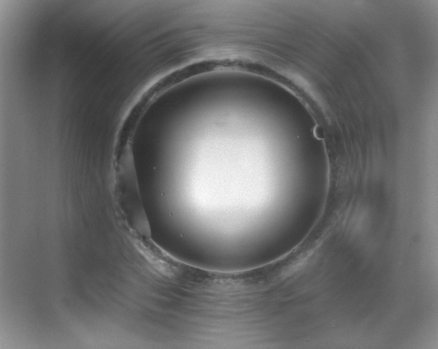 X0000069830927200605191136