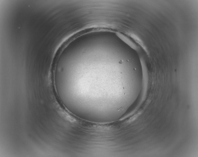 X0000069830928200605191136