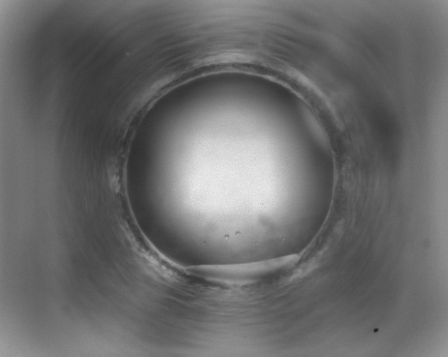 X0000069830929200605191136