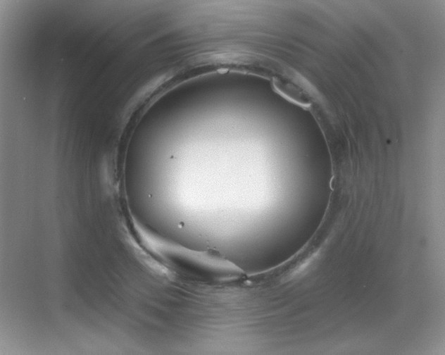 X0000069830930200605191136