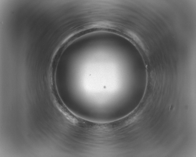 X0000069830931200605191136