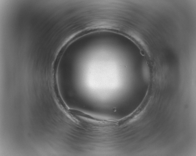 X0000069830933200605191136