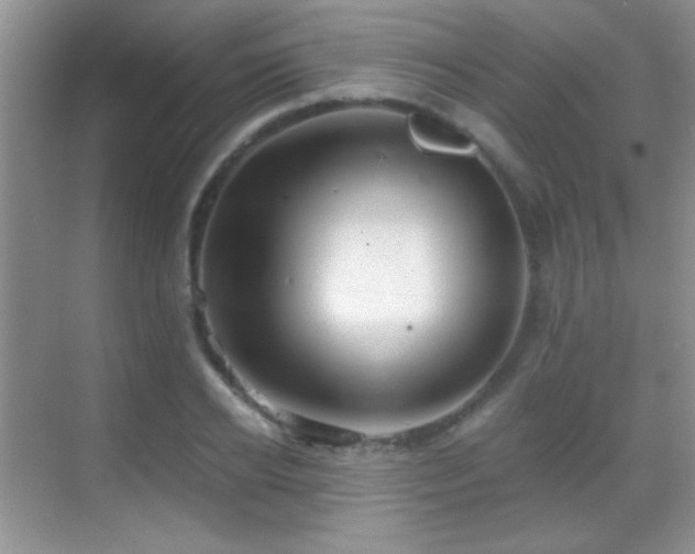 X0000069830934200605191136