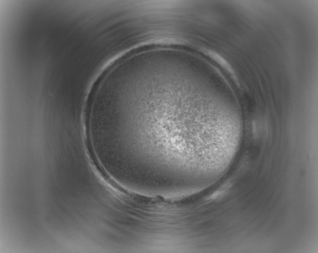 X0000069830935200605191136