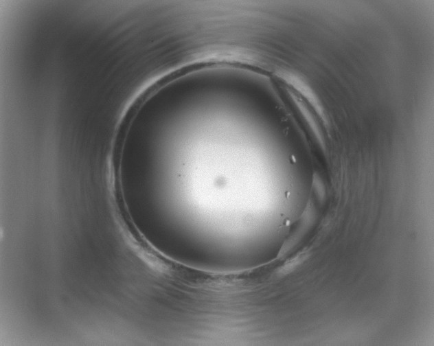 X0000069830936200605191136