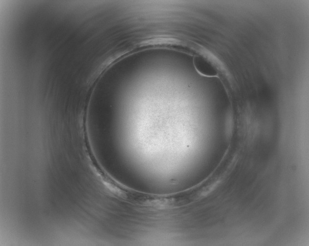 X0000069830937200605191136