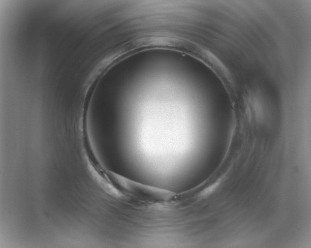 X0000069830938200605191136