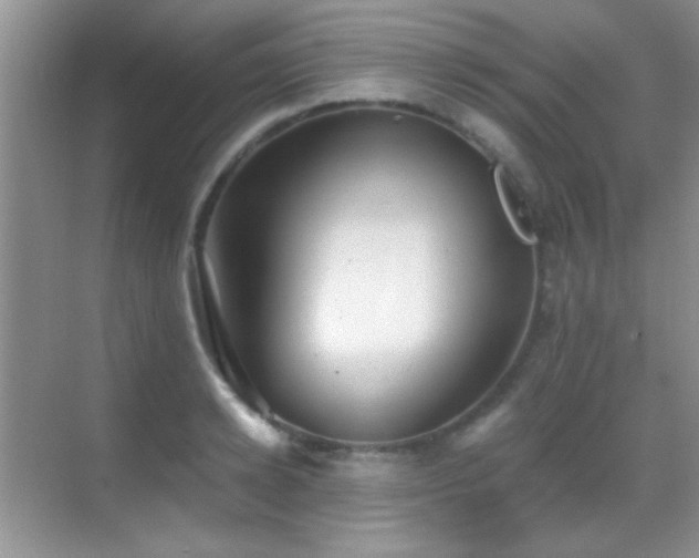 X0000069830942200605191136