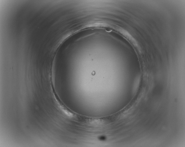 X0000069830945200605191136