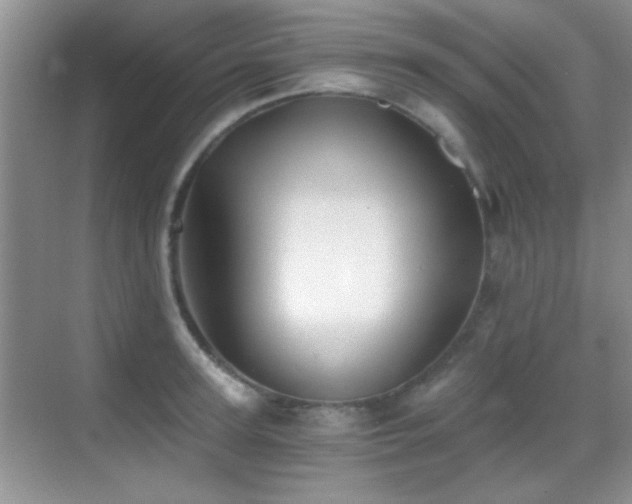 X0000069830947200605191136