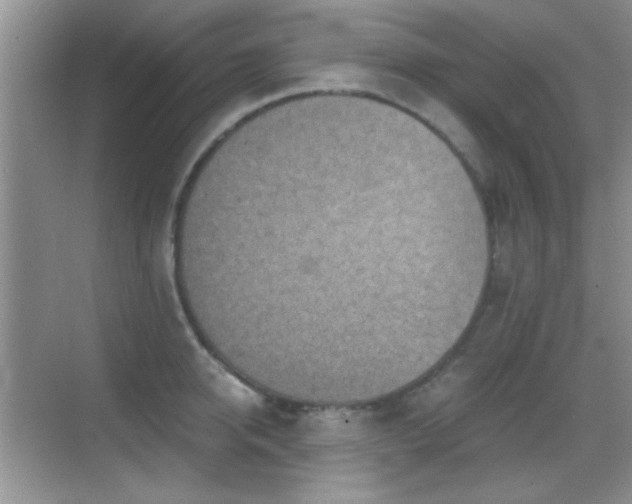 X0000069830950200605191136