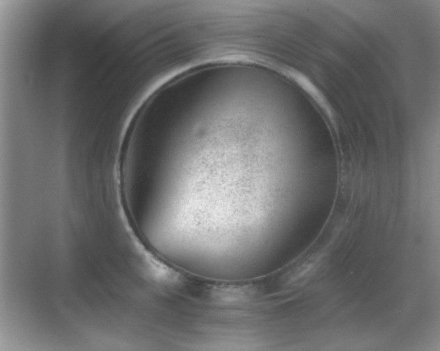 X0000069830951200605191136