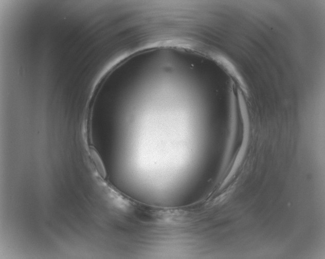 X0000069830952200605191136