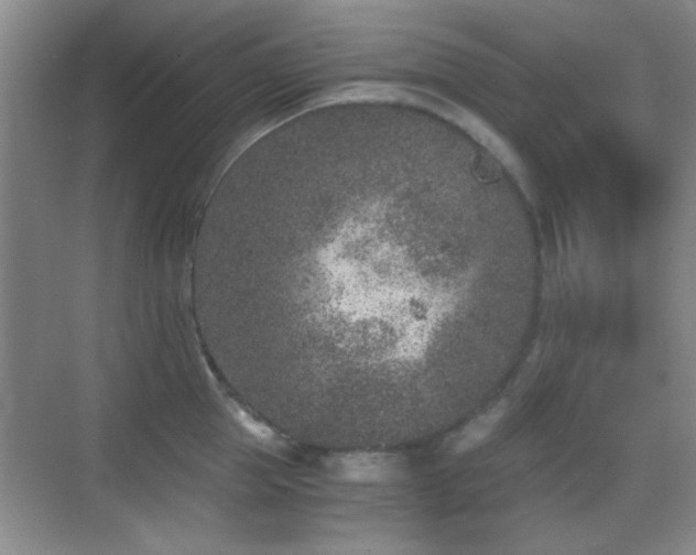 X0000069830953200605191136