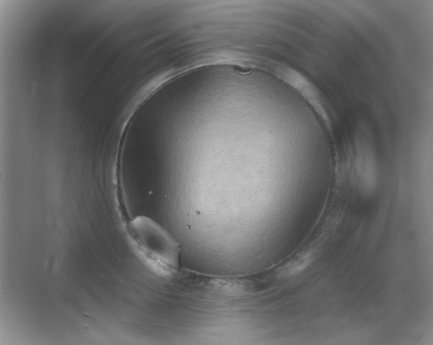 X0000069830954200605191136